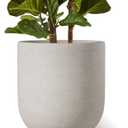 LE TAUCI 12 Inch Pots for Plants, Ceramic Large Planters for Indoor Plants, Indoor Plant Pots for Home Garden Patio Office, Planter Pots with Drainage Hole and Rubber Plug, Neutral Gray
