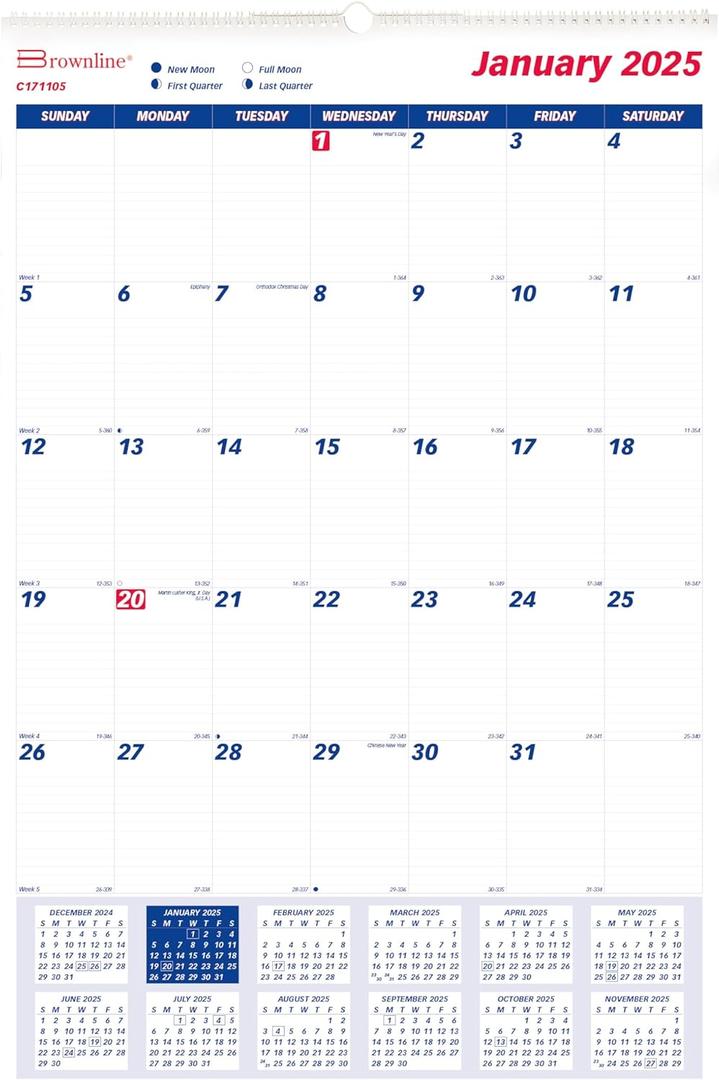 Brownline 2025 Monthly Wall Calendar, 12 Months, January to December, Twin-Wire Binding, 20" x 30" (C171105-25)
