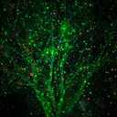 Poeland Christmas Laser Projector Lights Waterproof Outdoor Garden Decorative Lighting with Security Lock 3 Color Red Green Blue