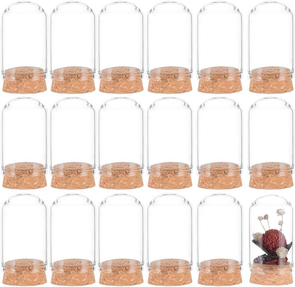 BENECREAT 30 Pack 20ml Glass Jars Bottles, Glass Display Cloche Dome Decoration Bottles 1.95x1.2" with Cork Stoppers for Party Favors, Arts Projects, Home Decoration