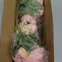 YOUNGLEAVES Pink Peonies Artificial Flowers 3 Packs Faux Peonies Flowers,Silk Peonies Flowers Fake Peonies Flowers Bouquet for Vase Centerpiece Table Wedding Party Home Decor Indoor