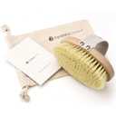 Hydrea London Dry Brushing Body Brush with Cactus Bristle - Cellulite Remover, Vegan Best Dry Brush for Flawless Skin, Helps Improve Lymphatic Drainage - FSC Certified Beechwood.