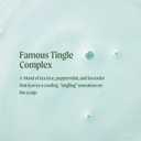 Tea Tree Special Shampoo, Deep Cleans, Refreshes Scalp, For All Hair Types, Especially Oily Hair (10.14 Fl Oz (Pack of 1))