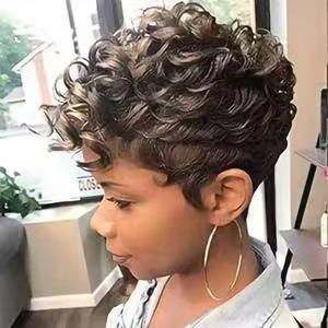 Pixie Cut Wig, Natural Curly Wigs Synthetic Hair, Short Style for Women (Size 26)