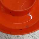 Chick Feeder and Waterer Kit with 75W Heat Lamp, Chick Perch, Flip Top Poultry Feeder, Baby Chick Starter Kit for Chick Brooder, Baby Chicken Supplies for Baby Chick, Duck and Quail (Chick Feeder and Waterer Kit With 75w Heat Lamp)