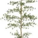 LYERSE Black Olive Tree 7ft - Faux Black Olive Tree with Natural Trunk and Realistic Leaves - Artificial Shady Lady Tree for Modern Home Office House Living Room Decor