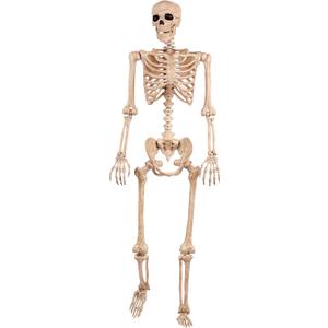 Crazy Bonez Original Pose-N-Stay Halloween Skeleton, 5 FT  Life-Size, Realistic, Fully Poseable Indoor & Outdoor Decoration, Durable Plastic Spooky Prop for Yard, Porch, Haunted House