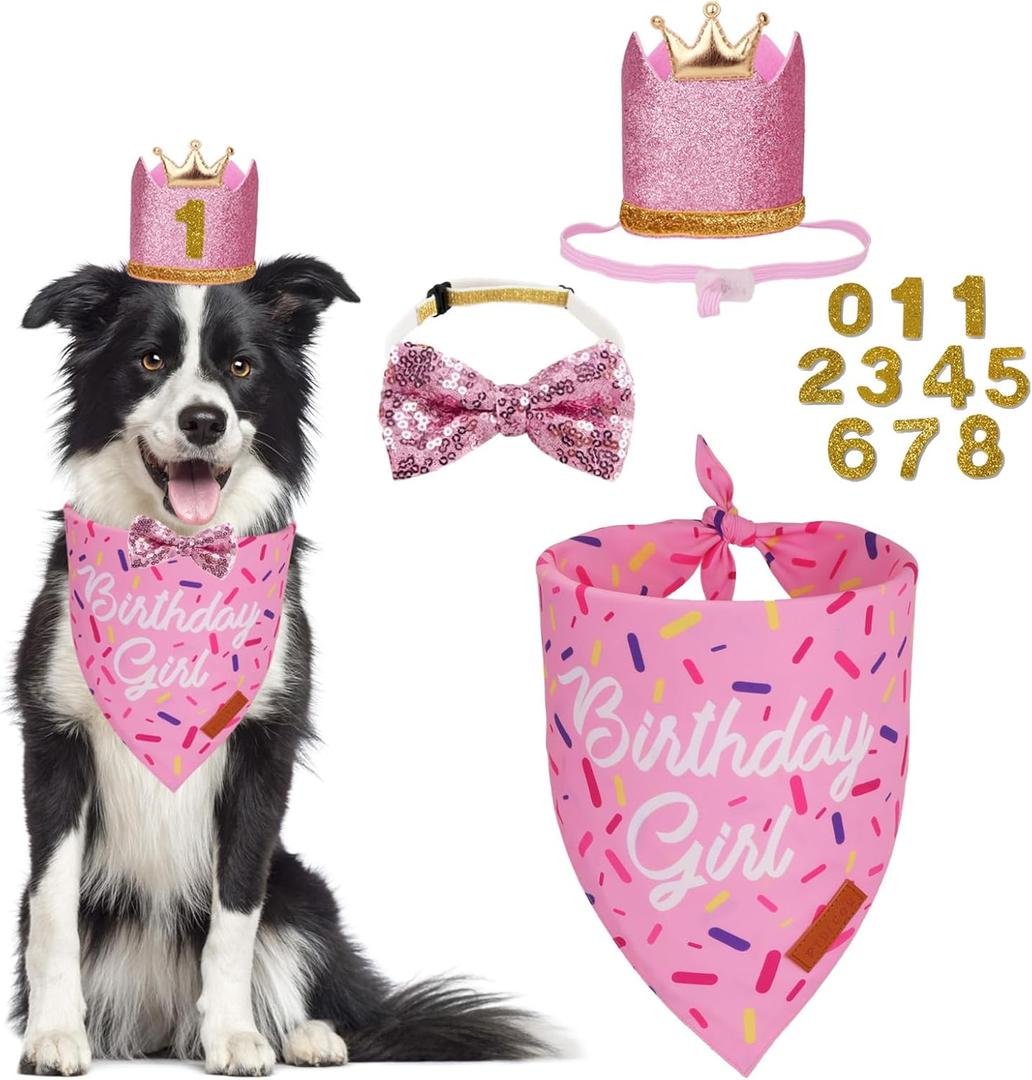 PTDECOR Dog Birthday Party Supplies, Multi Size Birthday Girl Bandana, Pink Crowns Hat Set for Large Pets (Large)