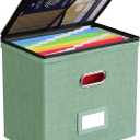 Oterri 1 Pack File Organizer Boxes with Lids, File Box with Mesh Pockets, Document Organizer Box for File Folders Letter Size, Zippers Filing Box for Home, Office, School (Green, Without Folders)