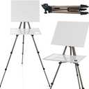Ireer 17-65 Inch Artist Watercolor Portable Easel with Sturdy Tripod Adjustable Aluminum Metal Easel Stand with Tray Lightweight Travel Easel for Painting Canvas Kids Adults Tabletop Floor Display