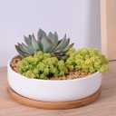 Lawei 3 Pack 6 inch Round Succulent Cactus Planter Pots with Drainage Bamboo Tray - Garden Ceramic Flower Planter Pot