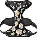 Step in Dog Harness and Leash Set, Flower Adjustable Easy Walk Puppy Harnesses, Soft Mesh No Pull Pet Vest Harness for Small Dogs and Cats(Daisy, XXS)