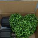 Suncalla 2 Sets 23.62 Inches Artificial Heart Boxwood Topiary Outdoor, Valentine's Day Heart Shaped Topiary Trees, Faux Boxwood Outdoor Valentines Decoration with Planter Pots for Home Porch Decor used ripped