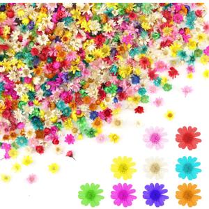 1000 PCS Mini Dried Flowers for Resin, Small Dried Flowers for Crafts, Mini-Dried Flower Bulk for Resin Art, Jewelry, Candle Making, Soap Making and DIY Crafts