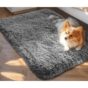 Ophanie Small Throw Rugs for Bedroom, 2x3 Non Slip Mini Area Rug, Affordable Fluffy Grey Carpet, Door Entryway Indoor Inside Front Entrance Dog Mat, Home Decor Aesthetic, Nursery