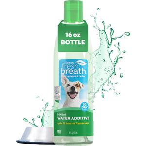TropiClean Fresh Breath Water Additive for Dogs, Dog Breath Freshener and Teeth Cleaning Solution, No Toothpaste or Toothbrush Required, 16oz.