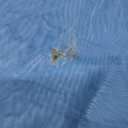 AI'MAGE Women's Swimsuit Cover Up Mesh Cover Up Dress Short Sleeve Bathing Suit Coverup Summer Beach Dress 2XL