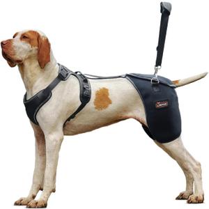 Dog Hip Support Brace - Adjustable Dog Leg Brace for Hip Dysplasia/Arthritis/Pain Relief, Warm & Breathable Luxating Patella Stabilizer, Post-Surgery Recovery(Size XXL)