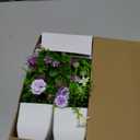 Der Rose 4 Pack Small Fake Plants Mini Artificial Faux Plants Indoor with Flowers Spring Decorations for Home Room Farmhouse Desk House Bathroom Decor