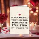2 x Funny Valentines Day Card  Great Valentines Day Gifts for Him Boyfriend or Husband (SK-033)