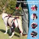 Dog Knee Brace with Lift Harness for Back Legs, Set of 2 Adjustable Non-Slip Support for Large & Senior Dogs, ACL/CCL Injury & Mobility Aid, Black, X-Large
