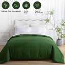 SheRest 1 Piece Duvet Cover Queen Size - Viscose Derived from Bamboo, Soft Breathable Cooling Comforter Cover for Hot Sleepers, 8 Corner Ties and Zipper Closure, No Comforter (Green, 90"x90")