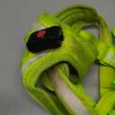 Light Up Dog Harness - LED Dog Harness Rechargeable, No Choke Illuminated Glow Dark Harness Vest Waterproof for Medium Large Dogs for Camping Night Safety Walking-Green,M