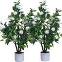 Artificial Camellia Tree 35in Faux Floral Plant with White Flowers and Green Leaves - No Maintenance Indoor Outdoor Office Home Porch Decor Housewarming Gift(2PackWhite)