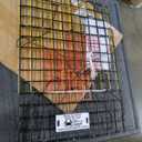 Folding Bridge Blue Crab Trap, Heavy-Duty Metal Wire Mesh Drop-Net, Collapsible Foldable Design, 15" x 15" x 7"