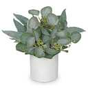 Artificial Plants Indoor with Pot, 11.8" Faux Eucalyptus Stems in Ceramic Vase for Table, Desk, Shelf, Small Fake Potted Plants Eucalyptus Leaves for Centerpieces, Living Room, Bathroom, Bedroom