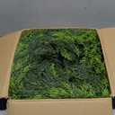 6FT Lush Christmas Cedar Garland Real Touch Artificial Realistic Soft and Thickness Greenery Faux Cedar Pine Garland for Home Fireplace Table Indoor Outdoor Holiday Christmas Decoration