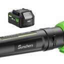 Leaf Blower Cordless with 2 x 4.0Ah Battery and Charger, 580CFM 160MPH Electric Blower with 2 Speeds, 20V Handheld Leaf Cleaner for Lawn Care, Blowing Leaves, Dust, Snow, Gravel for Patio, Yard, Green