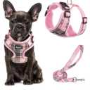 PUPTECK Soft Mesh Dog Harness and Leash Set Pet Puppy Cat Adjustable Reflective Padded Vest No Pull Harnesses, Pink, M
