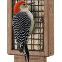 Kingsyard Recycled Plastic Suet Bird Feeder, Double Capacity Tail-Prop Suet Feeder for Outside Hanging, Sturdy & Durable, Great for Woodpecker & Clinging Birds, Blue