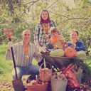 Happy Thanksgiving Medals Bulk with Neck Ribbons, 2 Inch Autumn Harvest Pumpkin Trophies for Thanksgiving Family Games, Contests, Fall Holiday Party Prizes
