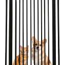 Lumizone Extra Tall Cat Gate 55.12" High Pressure Mounted Extra Wide 2025 New (17 Sizes) 1.37" Gap No Drilling Auto-Close One-Handed Operation Tall Pet Gate for Dogs(Black, 55.12" H x 29.92"-34.24" W)