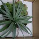 Large Artificial Succulents Plants Faux Succulents in Pots Fake Succulent Arrangement Potted Plants with White Ceramic Pot for Office Desk Bathroom Shelf Living Room Indoor & Outdoor Home Decor