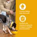 Pedigree Adult Dry Dog Food, Complete Nutrition, Roasted Chicken & Vegetable Flavor, 3.5 lb. Bag (EXP 12/12/26)