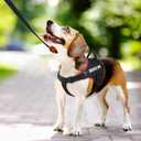 Voopet Emotional Support Dog Harness, Professional Service Dog Vest Harness for Small Medium Large Dogs, Reflective Breathable and Adjustable No Pull/Choke ESA Essential Harness