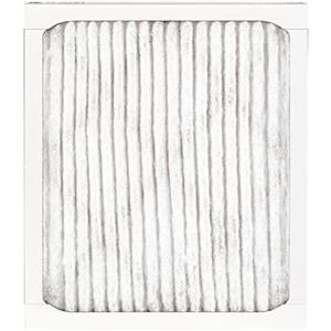 AIR FILTER 20X30X1 2PK AIR FILTER 20X30X1 2PK