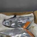 2003 2004 2005 2006 2007 Accord Headlight Assembly for 2003-2007 Honda Accord 2/4dr Clear Lens Chrome Housing with Amber Reflector Headlamp Replacement Left and Right Pair