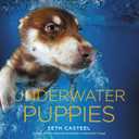 Book Underwater Puppies