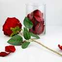 Noble Rose Ring Box - Flower Heart Engagement Ring Box for Proposal Ring, Ceremony, Wedding or Special Occasions (Red)