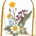 Double Glass Frame for Pressed Flowers, 5x7 Inch Handmade Pressed Flower Frame Metal Floating Picture Frame for Tabletop Display DIY Artwork Home Decor(Arched, Gold)