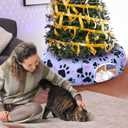 Large Cat Tunnel Bed for Indoor Multifunctional Cat Donut Tunnel Claw Design with Dangling Balls for Small Medium Large Cats Kitten Rabbit Puppies Christmas Party Gifts