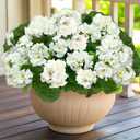 Artificial Geraniums Flowers for Outdoors Summer Decor, 4 Bundles UV Resistant Fake Geraniums Flowers Silk Faux Plants for Home Planter Gardens Table Patio Porch Indoor Spring Cemetery Decor(White)
