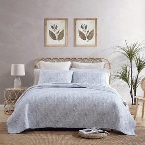 Tommy Bahama - Queen Quilt Set, Reversible Cotton Bedroom Decor with Matching Shams, Coastal Bedding with Textured Reverse (Distressed Water Leaves Blue, Queen)