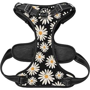 Step in Dog Harness and Leash Set, Flower Adjustable Easy Walk Puppy Harnesses, Soft Mesh No Pull Pet Vest Harness for Small Dogs and Cats(Daisy, XXS)