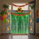 Dinosaur Birthday Party Decorations Supplies - Dino Park Door Porch Banner Backdrop and Green Foil Fringe Curtains for Jungle Safari Theme Boys Kids Favors Photoshoot Props