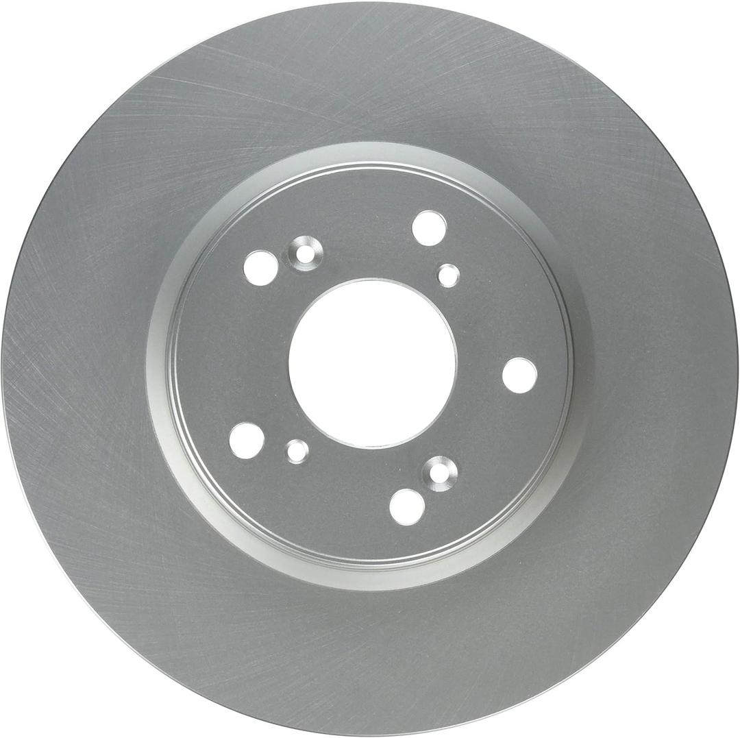 Raybestos 981022FZN Rust Prevention Technology Coated Rotor Brake Rotor, 1 Pack
